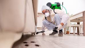 Best Fumigation Services  in Round Lake Park, IL